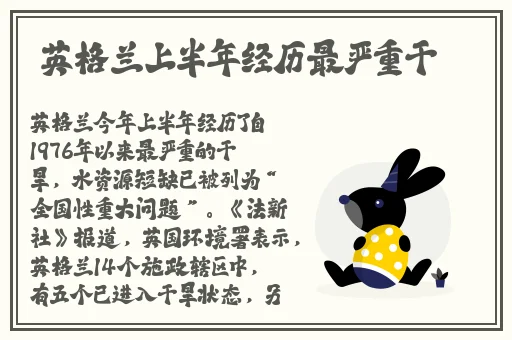 国精品产区WNW2544